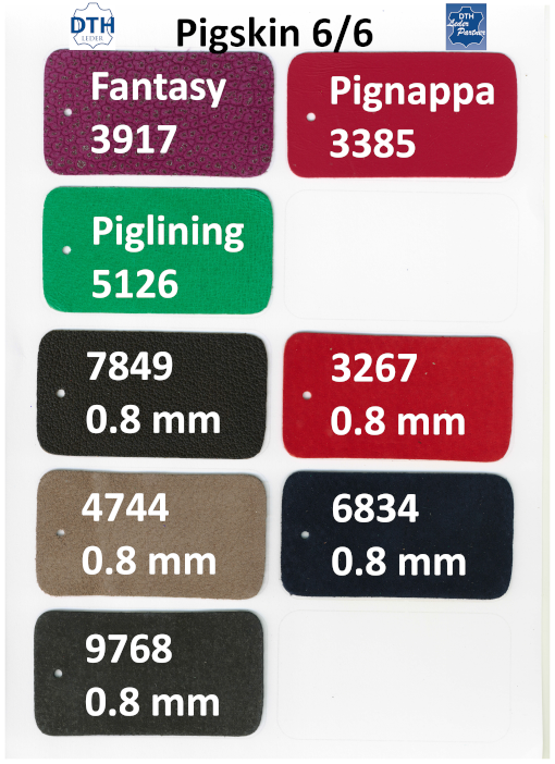 pig 6 6